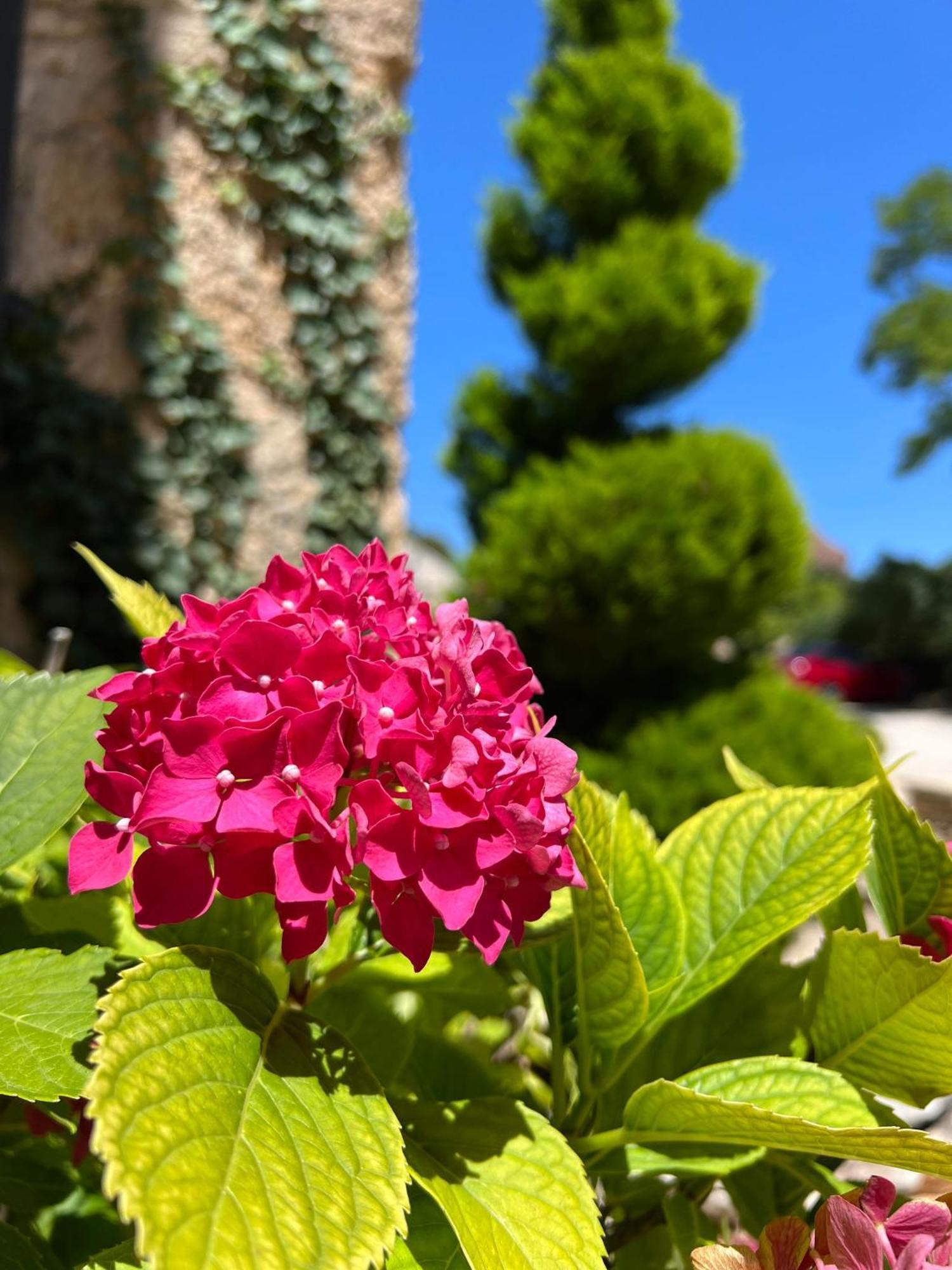 Hotel Les Vieilles Tours Rocamadour Exterior photo